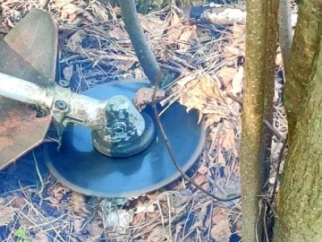 Działania w ramach czynnej ochrony pełnika europejskiego w PPK., 